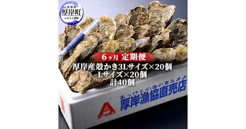 【ふるさと納税】定期便 6ヶ月 北海道 厚岸産 牡蠣 3L 20個 と L 20個 ひと月あたり40個お届け (各回40個×6ヶ月分,合計240個) 殻付き 生食 かき カキ　定期便・魚貝類 生牡蠣 かき