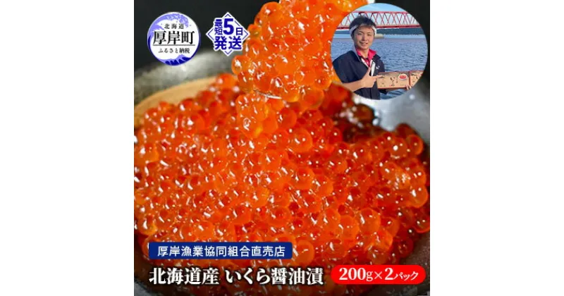 【ふるさと納税】北海道産 いくら 醤油漬け 200g×2パック (合計400g)　魚貝類・いくら・魚卵・いくら醤油漬・イクラ・400g