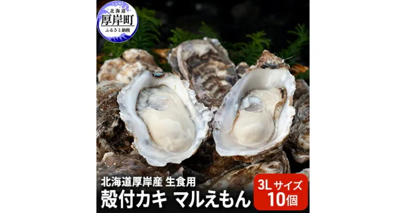 【ふるさと納税】北海道厚岸産 生食用　殻付カキ3Lサイズ10個　マルえもん　 魚貝類 海の幸 海のミルク 海鮮 国産 北海道産 オイスター つまみ お酒 あて 肴 生牡蠣 メルマガ掲載商品1