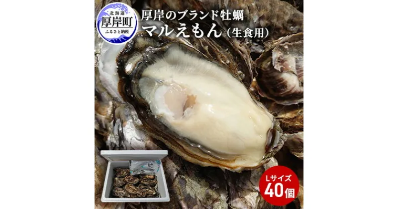 【ふるさと納税】牡蠣 厚岸のブランド牡蠣 マルえもん Lサイズ 40個 生食用　 魚貝類 海鮮 海のミルク 国産 生食用殻付き牡蠣 まろやか クリーミー 食べやすい品種 海の香り 牡蠣の酒蒸し 焼き牡蠣