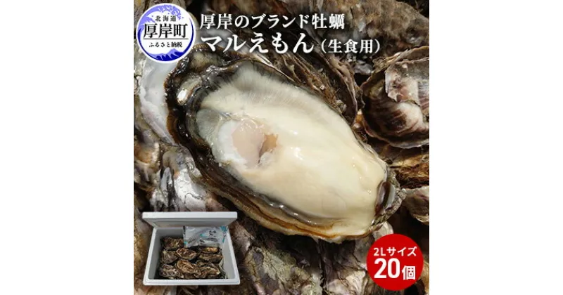 【ふるさと納税】牡蠣 厚岸のブランド牡蠣 マルえもん 2Lサイズ 20個 生食用　 魚貝類 海鮮 海のミルク 国産 生食用殻付き牡蠣 まろやか クリーミー 食べやすい品種 海の香り 牡蠣の酒蒸し 焼き牡蠣