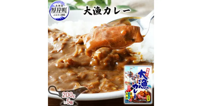 【ふるさと納税】大漁カレー 200g×5個 (合計1kg入) カレー レトルト　 加工食品 惣菜 レトルトカレー 洋食 海鮮カレー ランチ お昼ご飯 夕飯 夜食 手軽 簡単 ほたて いか かに 風味豊か 海の幸カレー 海の幸