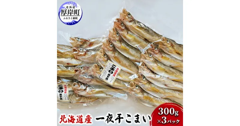 【ふるさと納税】北海道産 一夜干し こまい 300g×3パック (合計900g)　 魚貝類 干物 加工品 魚 魚の一夜干し ご飯が進む ご飯のお供 おかず つまみ