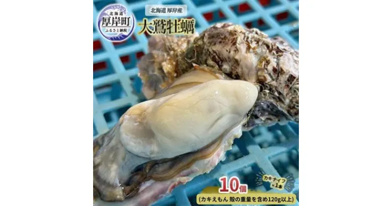 【ふるさと納税】北海道 厚岸産 大鷲牡蠣 10個 カキ 牡蠣 殻牡蠣　 魚貝類 海鮮 海の幸 生牡蠣 カキえもん 生食用牡蠣 殻付かき つまみ お酒のあて 　お届け：2024年11月～12月10日頃、2025年1月10日頃～5月末まで