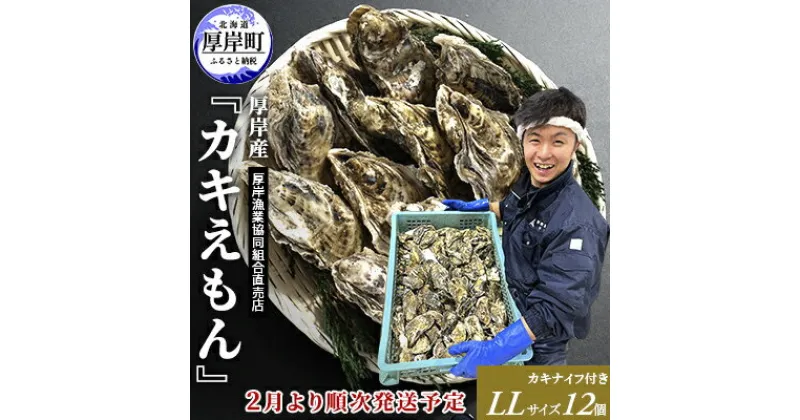 【ふるさと納税】2025年2月発送 厚岸産 ブランドかき カキえもん LLサイズ　 魚貝類 海鮮 海の幸 生牡蠣 生食用 生食用牡蠣 オイスター 厚岸産カキえもん 殻かき 　お届け：2025年2月1日～末まで