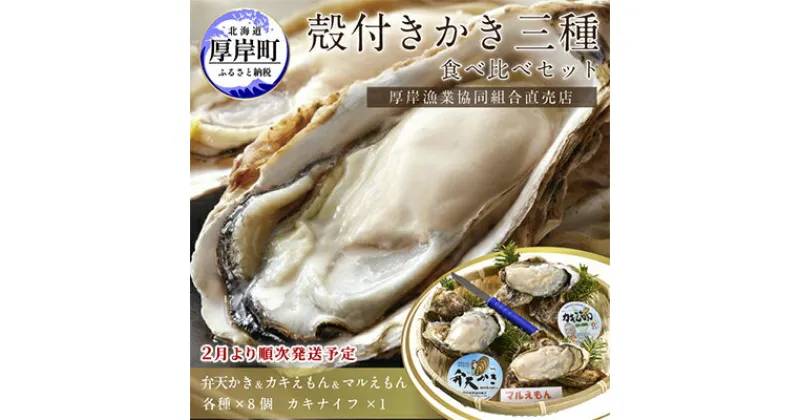 【ふるさと納税】2025年2月発送 北海道 厚岸産 殻かき三種 食べ比べ セット　 魚貝類 海鮮 海の幸 生牡蠣 生食用 オイスター 濃厚 弁天かき カキえもん マルえもん 　お届け：2025年2月1日～末まで