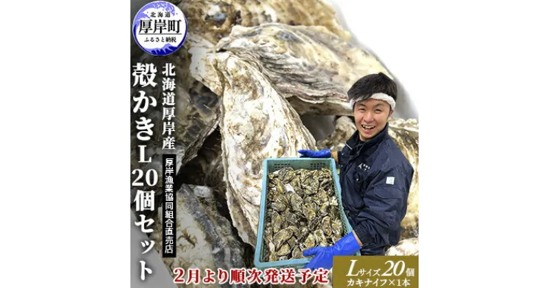 【ふるさと納税】2025年2月発送 厚岸産 殻かき L20個セット　 魚貝類 海鮮 海の幸 生牡蠣 生食用 生食用牡蠣 オイスター 厚岸産生牡蠣 カキナイフ付 　お届け：2025年2月1日～末まで