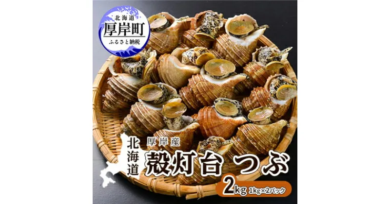 【ふるさと納税】先行予約 北海道 厚岸産 殻灯台 つぶ 2kg（1kg×2パック）　 魚介類 海の幸 海産物 海鮮 貝 つぶ貝 希少 下処理不要 刺身 塩茹で お酒のあて つまみ 国産 北海道産 　お届け：2025年4月1日～6月10日頃まで