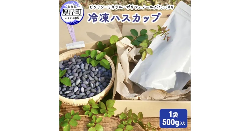 【ふるさと納税】厚岸ハスカ 冷凍ハスカップ 1袋（500g）　 アントシアニン スーパーフード 果実 ビタミン ミネラル 抗酸化作用 ポリフェノール 北海道産