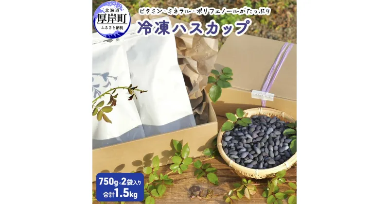 【ふるさと納税】厚岸ハスカ 冷凍ハスカップ 2袋（750g×2 計1.5kg）　 アントシアニン スーパーフード 果実 ビタミン ミネラル 抗酸化作用 ポリフェノール 北海道産