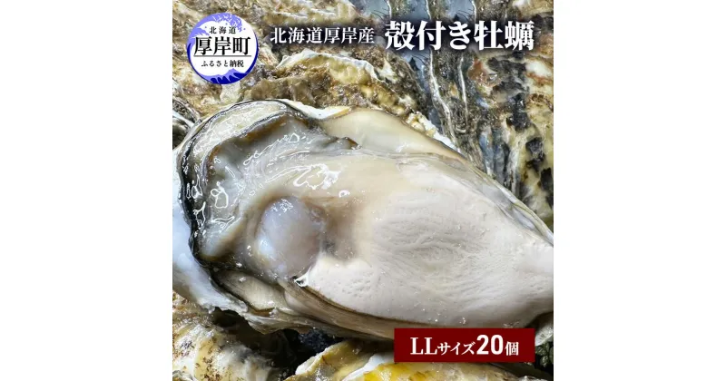 【ふるさと納税】北海道 厚岸産 殻付き 牡蠣 LLサイズ　20個　 魚貝類 生牡蠣 海鮮 海の幸 生食用牡蠣 生食用 生食用殻付き牡蠣 濃厚 甘み オイスター