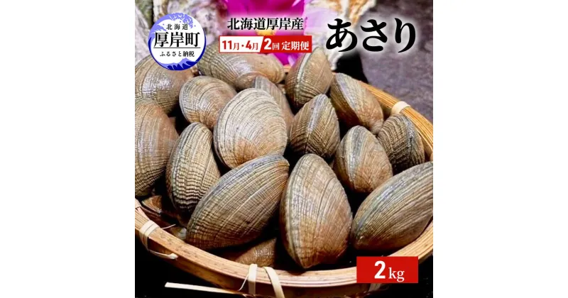 【ふるさと納税】2回お届け（11月・4月） 定期便 北海道 厚岸産 あさり 2kg　定期便・ 貝類 魚貝類 海鮮 旬のアサリ 北海道産アサリ 大粒 肉厚 砂抜き済み 簡単調理 産地直送 うまみ 国産 日本産