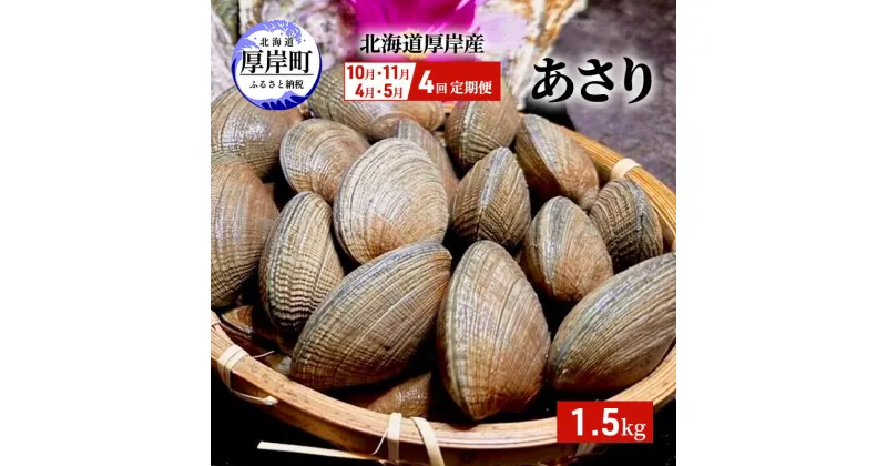 【ふるさと納税】4回お届け（10月・11月・4月・5月） 定期便 北海道 厚岸産 あさり 1.5kg　定期便・ 貝類 魚貝類 海鮮 旬のアサリ 北海道産アサリ 大粒 肉厚 砂抜き済み 簡単調理 産地直送 うまみ 国産 日本産