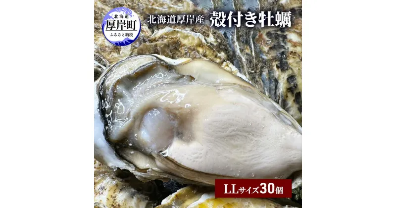 【ふるさと納税】北海道 厚岸産 殻付き 牡蠣 LLサイズ 30個　 魚貝類 生牡蠣 海鮮 海の幸 生食用牡蠣 生食用 生食用殻付き牡蠣 濃厚 甘み オイスター