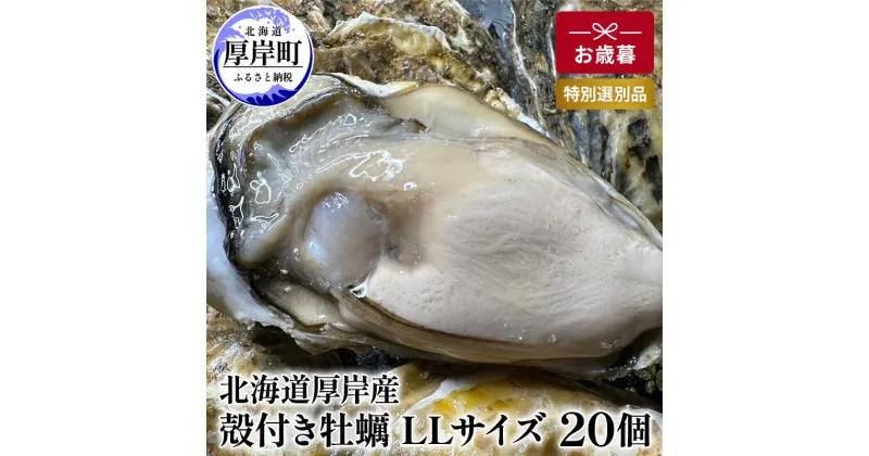 【ふるさと納税】北海道 厚岸産 殻付き 牡蠣 LLサイズ 20個 お歳暮 特別選別品　 魚貝類 生牡蠣 海鮮 海の幸 海産物 ふっくら 濃厚 甘み オイスター 生食用殻付カキ 生食用 　お届け：2024年12月～20日