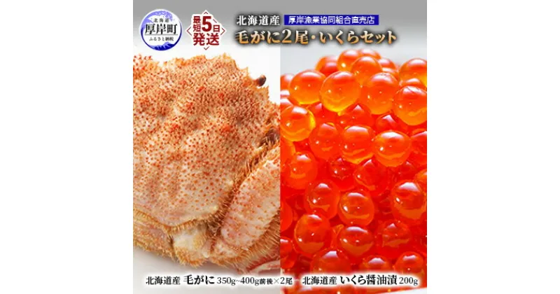 【ふるさと納税】厚岸漁協イチオシ！【3D冷凍】北海道産 毛がに（約350g～400g）2尾・いくら200gセット　 毛カニ 蟹 毛蟹 いくら 魚卵 魚介類 魚介 セット