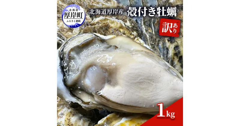 【ふるさと納税】訳あり 北海道 厚岸産 殻付き 牡蠣 1kg　 魚貝類 生牡蠣 海の幸 海鮮 オイスター 濃厚な甘み グルメ