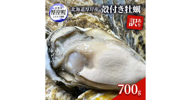 【ふるさと納税】訳あり 北海道 厚岸産 殻付き 牡蠣 700g　 魚貝類 生牡蠣 海の幸 海鮮 オイスター 濃厚な甘み グルメ