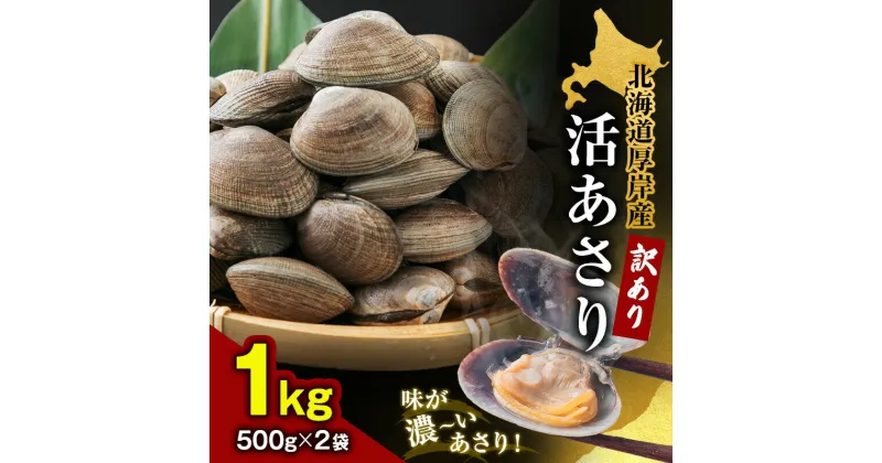 【ふるさと納税】北海道 厚岸産 訳あり 活あさり 500g×2 (合計1kg) アサリ　 魚貝 海鮮 大粒 美味しい 栄養 旨み 砂出し 水洗い 冷凍保存 便利 　お届け：2024年9月～2025年7月15日まで