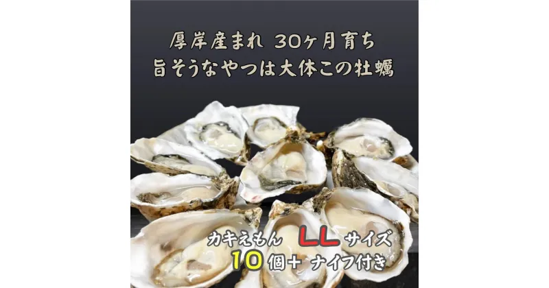 【ふるさと納税】厚岸で産まれ30ヵ月育成 北海道 厚岸産 牡蠣 カキえもん LLサイズ 10個 カキ　厚岸町　お届け：2024年12月～2025年5月末