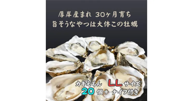 【ふるさと納税】厚岸で産まれ30ヵ月育成 北海道 厚岸産 牡蠣 カキえもん LLサイズ 20個 カキ　厚岸町　お届け：2024年12月～2025年5月末