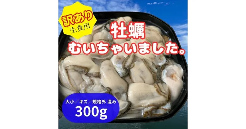 【ふるさと納税】北海道 厚岸産 訳あり 牡蠣むいちゃいました 生食用 300g カキ むき身 牡蠣　厚岸町　お届け：2025年1月～7月中旬