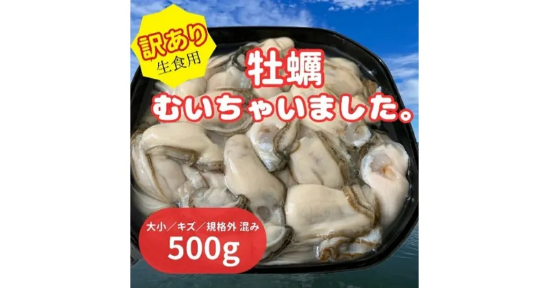 【ふるさと納税】北海道 厚岸産 訳あり 牡蠣むいちゃいました 生食用 500g カキ むき身 牡蠣　厚岸町　お届け：2025年1月～7月中旬