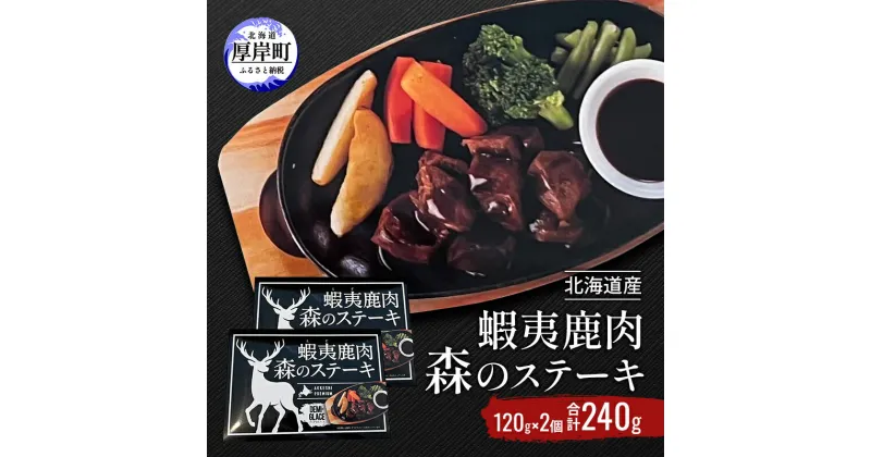 【ふるさと納税】北海道産 蝦夷鹿肉 森のステーキ 120g×2個 (合計240g)　厚岸町