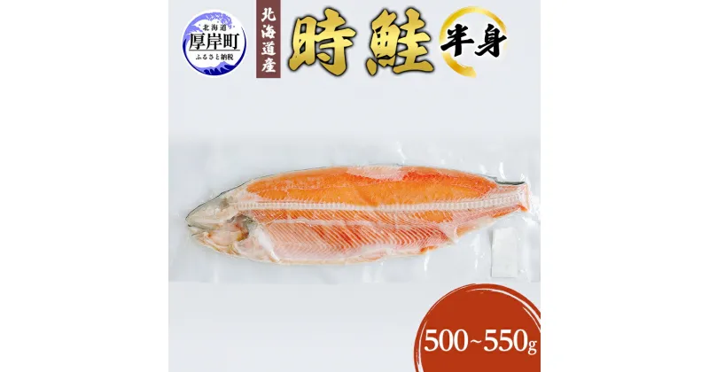 【ふるさと納税】北海道産 時鮭 半身 500g～550g 鮭 さけ シャケ 魚 甘塩 冷凍 半身加工 旬