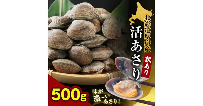 【ふるさと納税】北海道 厚岸産 訳あり 活あさり 500g アサリ　お届け：2024年9月～2025年7月15日まで