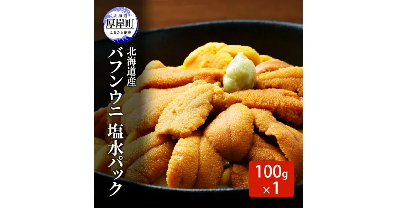 【ふるさと納税】北海道産 バフンウニ 塩水パック 100g×1 雲丹 ウニ うに 新鮮 海産物 冷蔵 濃厚 甘い 国産　お届け：2025年7月～8月末まで