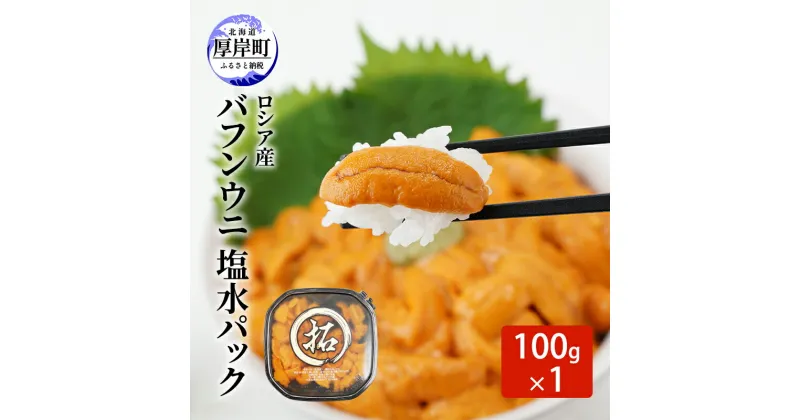 【ふるさと納税】ロシア産 バフンウニ 塩水パック 100g×1 雲丹 ウニ うに 新鮮 海産物 冷蔵 濃厚 甘い　お届け：2024年10月～2025年6月末まで