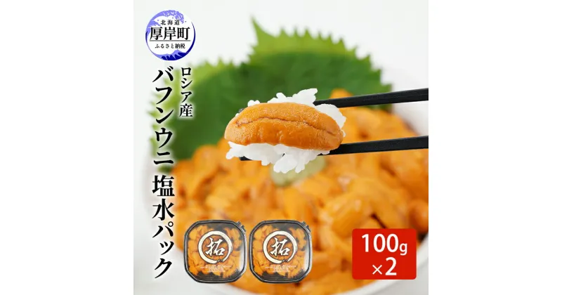 【ふるさと納税】ロシア産 バフンウニ 塩水パック 100g×2 雲丹 ウニ うに 新鮮 海産物 冷蔵 濃厚 甘い　お届け：2024年10月～2025年6月末まで