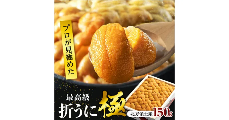 【ふるさと納税】プロ厳選 箱詰め 折うに 生うに 刺身 最高級 極 天然 バフンウニ 150g 新鮮 食品 うに丼 海鮮 海産物 魚介 お取り寄せ グルメ 人気 おすすめ プレゼント おつまみ お酒 寿司 パスタ 軍艦 トッピング ギフト 贅沢 北海道 浜中町 送料無料