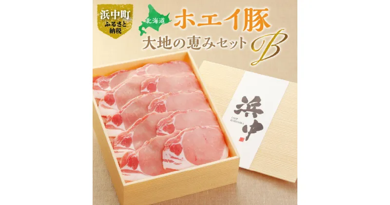 【ふるさと納税】大地の恵み Bセット セット 豚肉 しょうが焼き ホエイ豚 ロース 肉 豚 ブランド豚 しっとり 柔らかい お取り寄せ グルメ おかず 惣菜 食品 弁当 加工品 炒め物 冷凍 コープはまなか 北海道 浜中町 送料無料