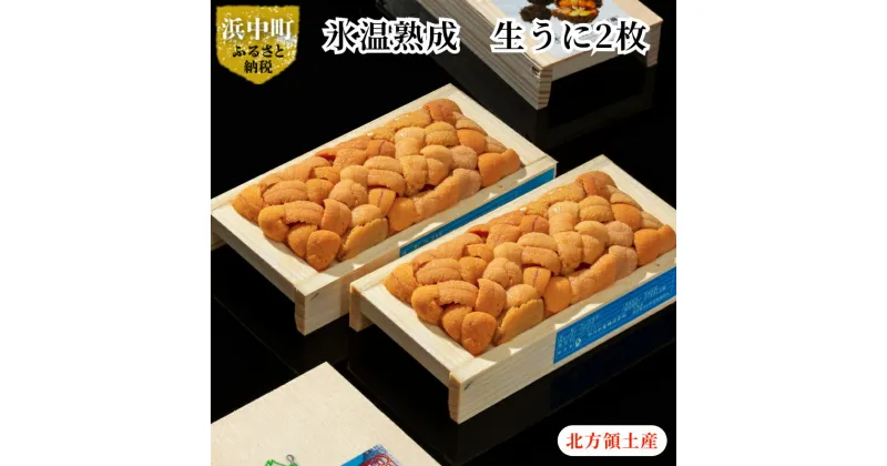 【ふるさと納税】ウニ 海鮮 新鮮 氷温熟成 100g × 2枚 計200g 生うに 天然生うに 殻出し 食品 海産物 北海道 浜中 お取り寄せ お取り寄せグルメ うに丼 海鮮丼 お寿司 手巻き寿司 ご褒美 食べ物 冷蔵 送料無料