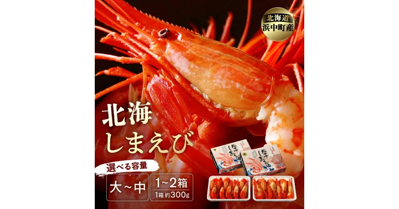 【ふるさと納税】【容量が選べる】プリプリ食感!! 北海しまえび セット 有頭 大サイズ 13尾前後 中サイズ 17尾前後 300g 1箱 2箱 ボイル 新鮮 希少 ぷりぷり おかず おつまみ 天ぷら エビチリ お取り寄せ グルメ 食品 加工品 魚介類 海鮮 冷凍 海産物 北海道 浜中町 送料無料