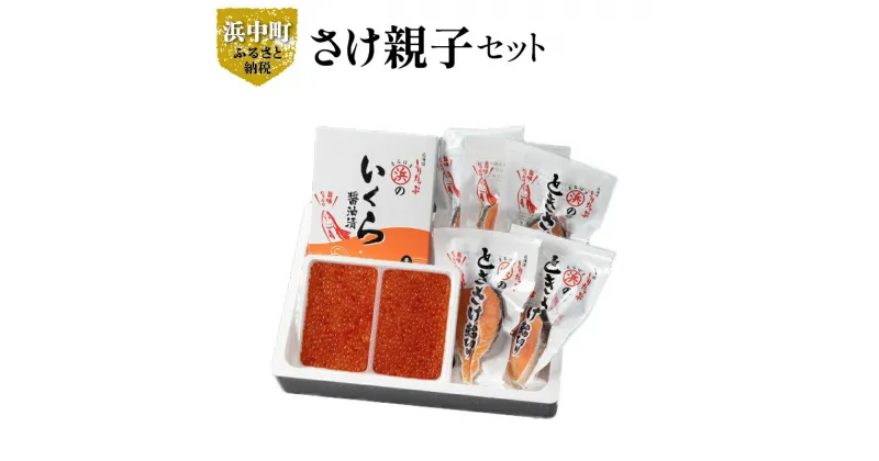 【ふるさと納税】いくら醤油漬け 鮭卵 ＆ ときさけ 輪切り の 親子 セット 約1kg グルメ 食品 海鮮 魚介類 海の幸 海産物 加工品 ご飯のお供 おかず 惣菜 魚卵 いくら 魚 鮭 国産 冷凍 浜中漁業協同組合 北海道 浜中町 お取り寄せ 送料無料