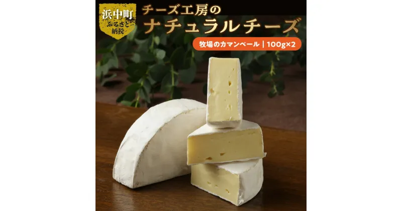 【ふるさと納税】チーズ 牧場のカマンベール カマンベールチーズ 100g × 2 国産 ナチュラルチーズ カマンベールタイプ 優しい口当たり ディップソース ウイスキー 赤ワイン 北海道 浜中町 お取り寄せ 加工品 食品 乳製品 あっさり おつまみ 冷蔵配送 送料無料