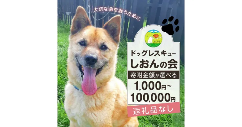 【ふるさと納税】【野犬の保護活動】【寄附額が選べる】ドッグレスキュー しおんの会 返礼品なし 1,000円 ～ 100,000円 NPO法人 支援 動物 保護 犬 ドッグ 環境づくり 動物愛護 ペット 愛犬 手助け 野良犬 ボランティア 命を守る 応援 里親 殺処分ゼロ 譲渡 北海道 浜中町