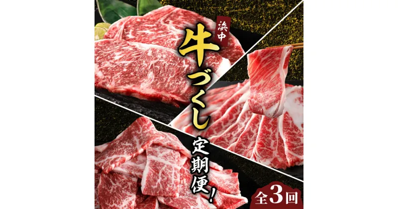 【ふるさと納税】全3回 定期便 毎月お届け 浜中牛づくし定期便 牛肉 おかず お弁当 晩ご飯 焼肉 ステーキ すき焼き しゃぶしゃぶ 肉じゃが 牛丼 カレー ビーフシチュー 食品 ご褒美 記念日 お取り寄せ グルメ 冷凍 国産 北海道 浜中町 送料無料