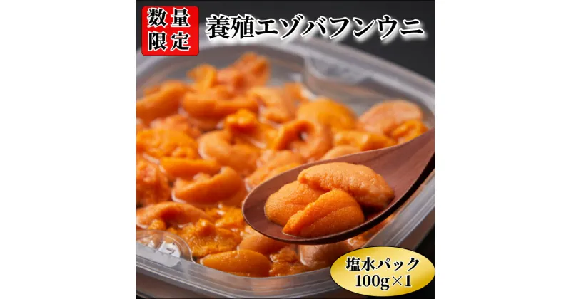 【ふるさと納税】 浜中産 養殖 エゾバフンウニ 塩水パック 100g 数量限定 生うに 新鮮 海鮮 魚介類 海の幸 海産物 うに丼 パスタ 寿司 軍艦巻き 手巻き おかず おつまみ お取り寄せ グルメ ご褒美 贅沢 食品 冷蔵 北海道 浜中町 送料無料