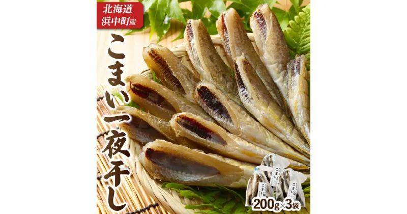 【ふるさと納税】一夜干し 旨味 こまい 200g×3袋 北海道 浜中町 BBQ 惣菜 お土産 グルメ 国産 食品 加工品 魚介類 海鮮 海の幸 海産物 氷下魚 三平汁 煮物 焼き魚 おかず おつまみ 酒の肴 ご飯のお供 人気 おすすめ おすそ分け 干物 新鮮 お取り寄せ 贈り物 ギフト 送料無料