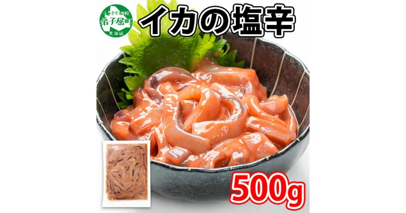 【ふるさと納税】 442.イカの塩辛 500g イカ スルメイカ いか 珍味 海鮮 魚介 送料無料 6000円 北海道 弟子屈町