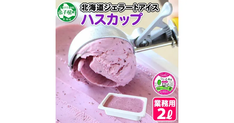 【ふるさと納税】607.くりーむ童話 アイスクリーム ハスカップ ジェラート 2L 業務用 2リットル アイス フルーツ ミルク いっぱい 牛乳 スイーツ 手作り 贈り物 贈答品 gift ギフト プレゼント お取り寄せ 15000円 北海道 弟子屈町