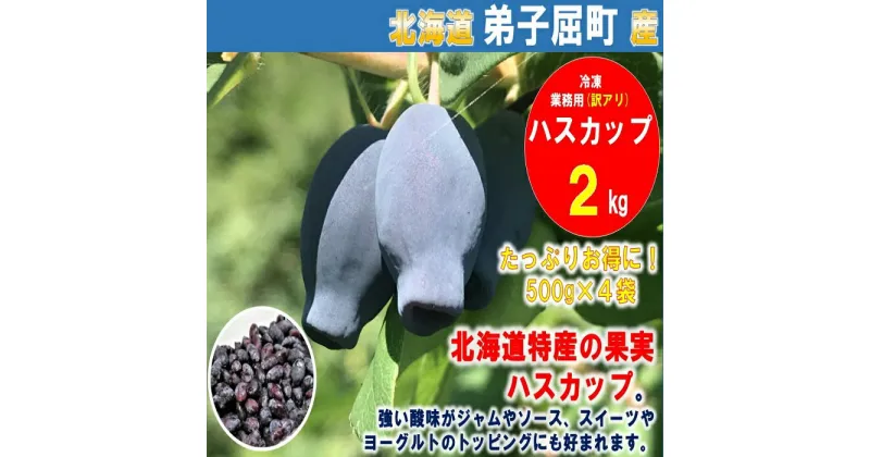 【ふるさと納税】1355.北海道特産の果実ハスカップ、業務用(訳あり)　2kg 19000円