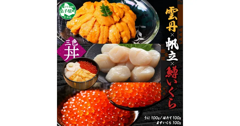 【ふるさと納税】2939. うに 100g 鱒いくら醤油漬け 100g ホタテ 100g セット ウニ チリ産 冷凍 雲丹 いくら イクラ ますいくら ほたて 帆立 海鮮 海鮮丼 三色丼 送料無料 北海道 弟子屈町 14000円