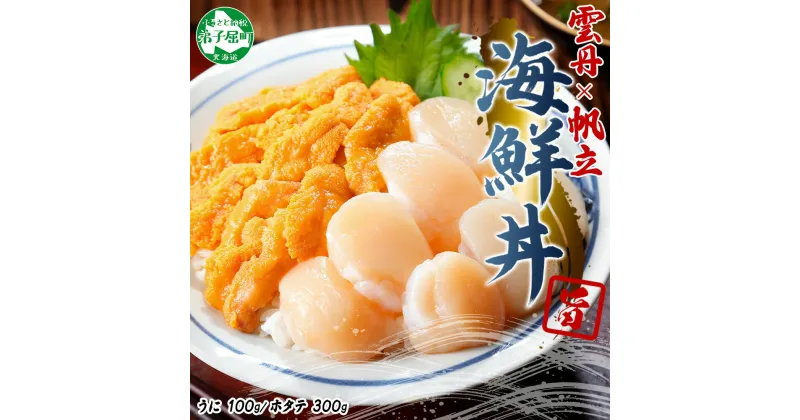 【ふるさと納税】 2937. うに 100g ホタテ 300g セット ファミリー ウニ チリ産 冷凍 雲丹 ほたて 生ほたて 帆立 貝柱 貝 冷凍 海鮮 海鮮丼 送料無料 北海道 弟子屈町 13000円