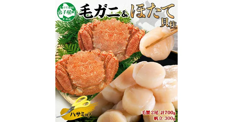 【ふるさと納税】2459. 毛蟹 2尾 計700g前後 ホタテ 300g 専用ハサミ・食べ方ガイド付き 毛ガニ 毛がに 蟹 カニ カニ味噌 ほたて 帆立 貝柱 セット 海鮮 ボイル 送料無料 北海道 弟子屈町 35000円