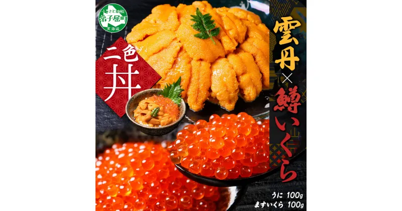 【ふるさと納税】2518. うに 100g 鱒いくら醤油漬け 100g セット ウニ チリ産 冷凍 雲丹 ますいくら 鱒 マス イクラ いくら いくら醤油漬け 海鮮 海鮮丼 送料無料 北海道 弟子屈町 12000円